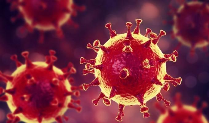 Лабораторно підтверджено одинадцять нових випадків COVID-19 в області