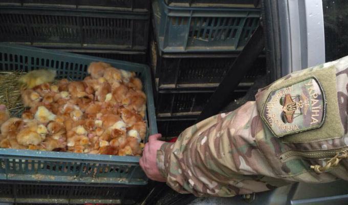 «Фантом» перешкодив незаконній торгівлі з ОРЛО