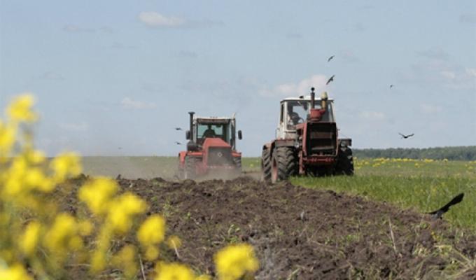 В області тривають весняно-польові роботи