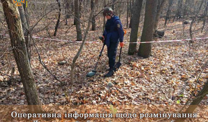 Піротехніками в області виявлено та вилучено 29 артилерійських снарядів