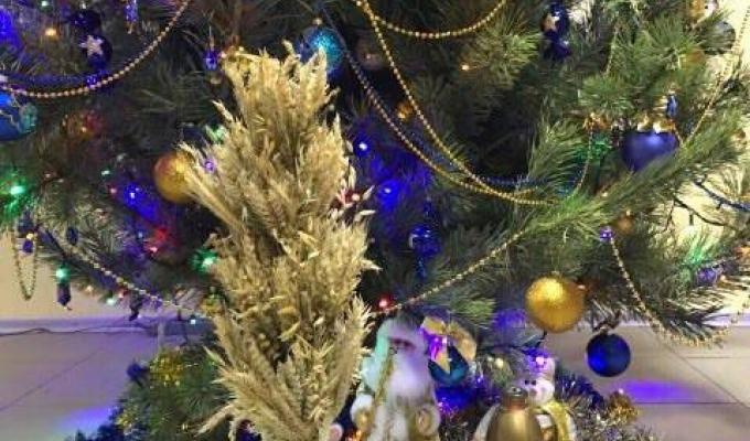 Братня Львівщина передала жителям області Вифлеємський Вогонь Миру та Різдвяний Дідух