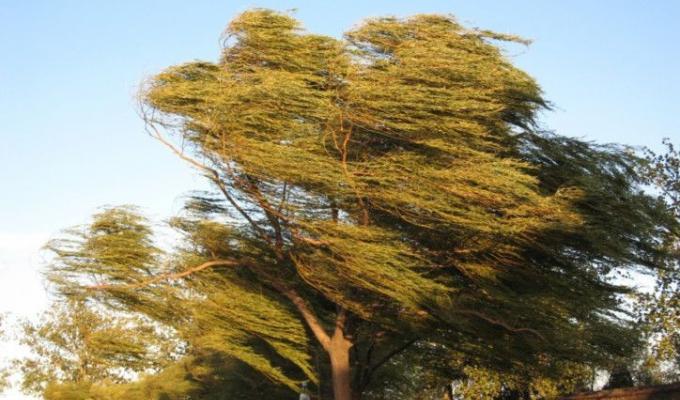 Правила поведінки при сильному вітрі