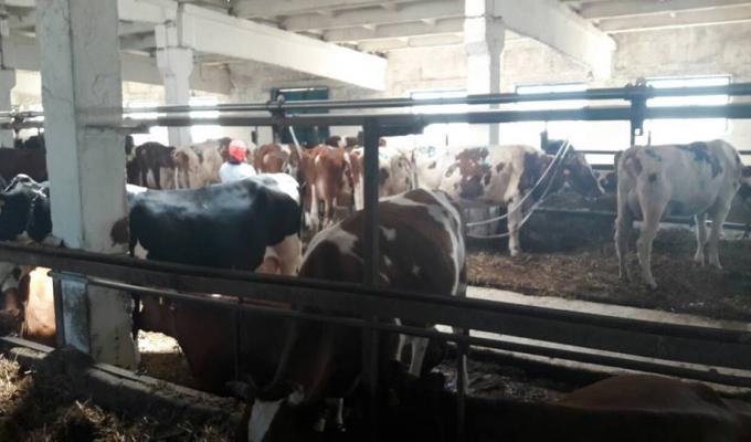 На Луганщині вже набирає оберти кооперативний рух