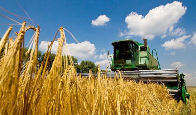 На Луганщині зібрано рекордний врожай озимої пшениці