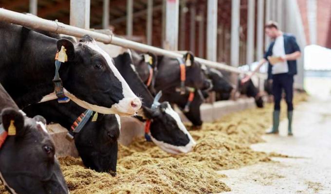 Фермери Міловського району отримали 180,5 тисяч гривень спеціальної бюджетної дотації 