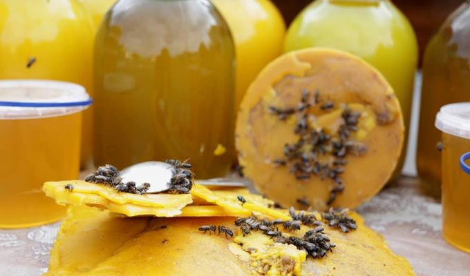 У СЄВЄРОДОНЕЦЬКУ ТА РУБІЖНОМУ ВІДБУДЕТЬСЯ ФЕСТИВАЛЬ-ЯРМАРОК "МЕДОВІ РІКИ ЛУГАНЩИНИ 2018"