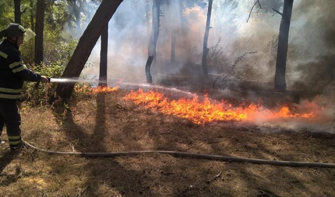 Пориви вітру спричинили пожежу у Кремінському районі