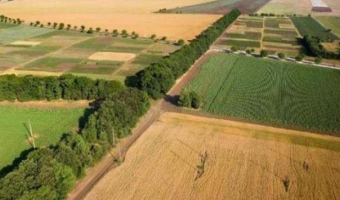 Важливо! Головні аспекти земельної реформи 