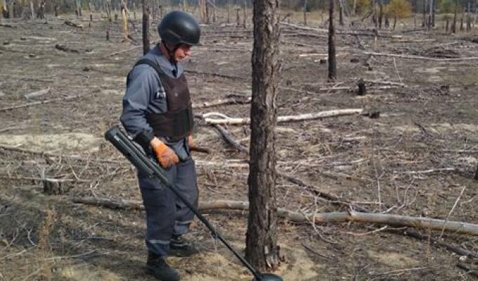 Піротехніками на Луганщині вилучено 34 одиниці вибухонебезпечних предметів 