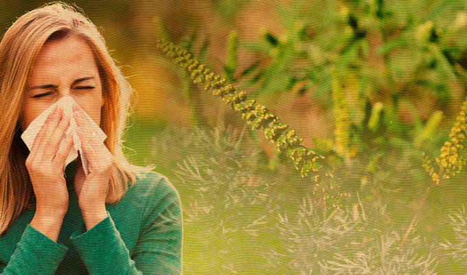 Заходи боротьби з карантинними бур’янами продовжено до 2020 року