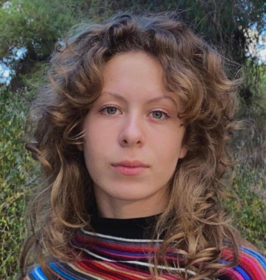 Випускниця з Сіверськодонецька отримала 200 балів за підсумками НМТ