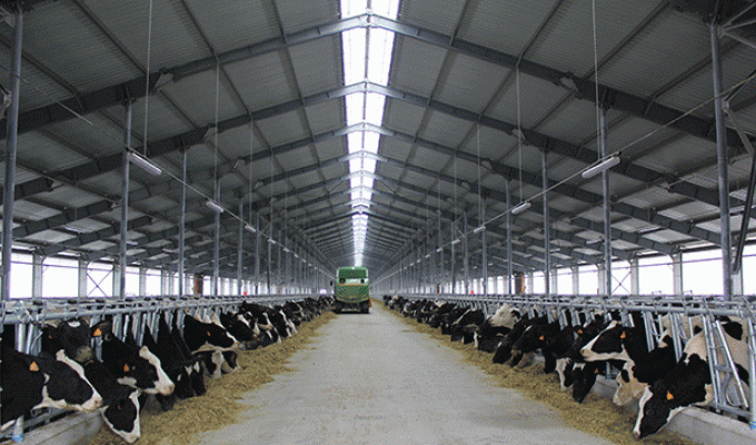 На відновлення тваринницьких комплексів області витратять 132 мільйони гривень