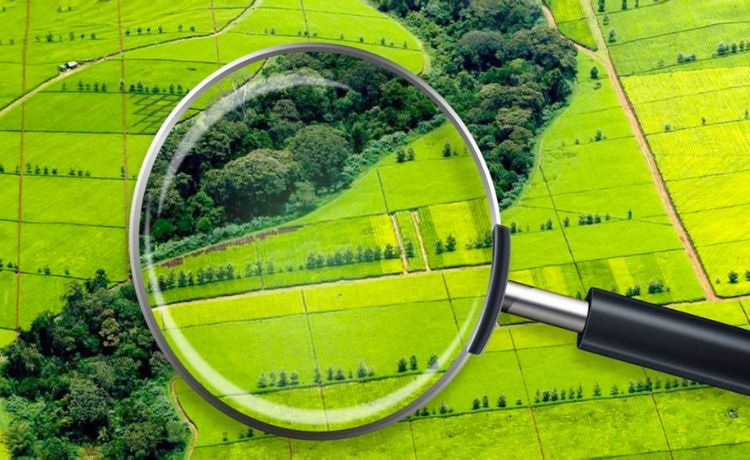 Інформація щодо індексації нормативної грошової оцінки земель