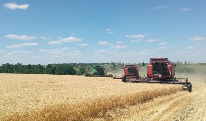 На Луганщині розпочалась збиральна кампанія