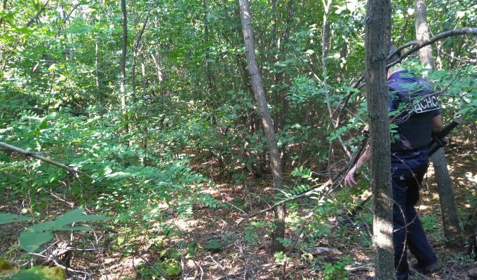 Піротехнічними розрахунками вилучено 33 одиниці вибухонебезпечних предметів