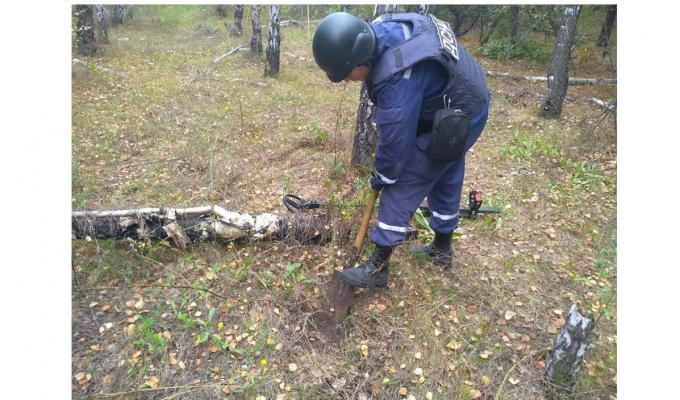 На Луганщині знайдено 94 одиниці вибухонебезпечних предметів