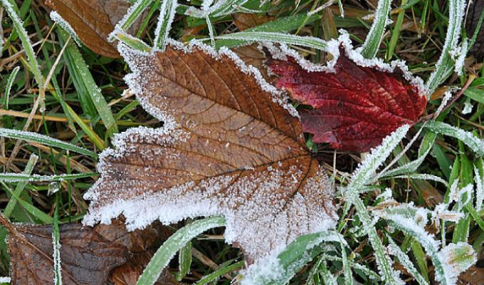 Увага! Очікується суттєве зниження температури повітря