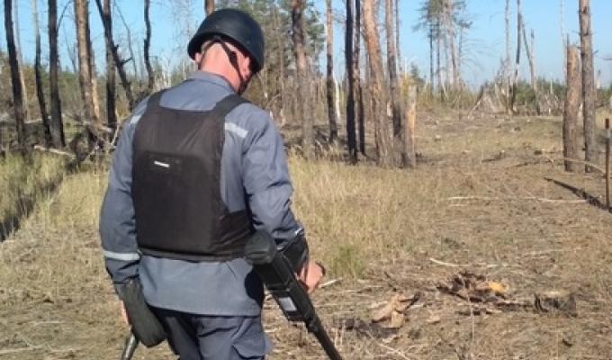 Піротехніками на Луганщині вилучено 32 одиниці вибухонебезпечних предметів 