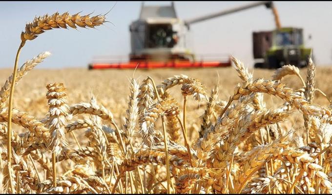 Уряд надав доступ до державної підтримки більшій кількості аграріїв