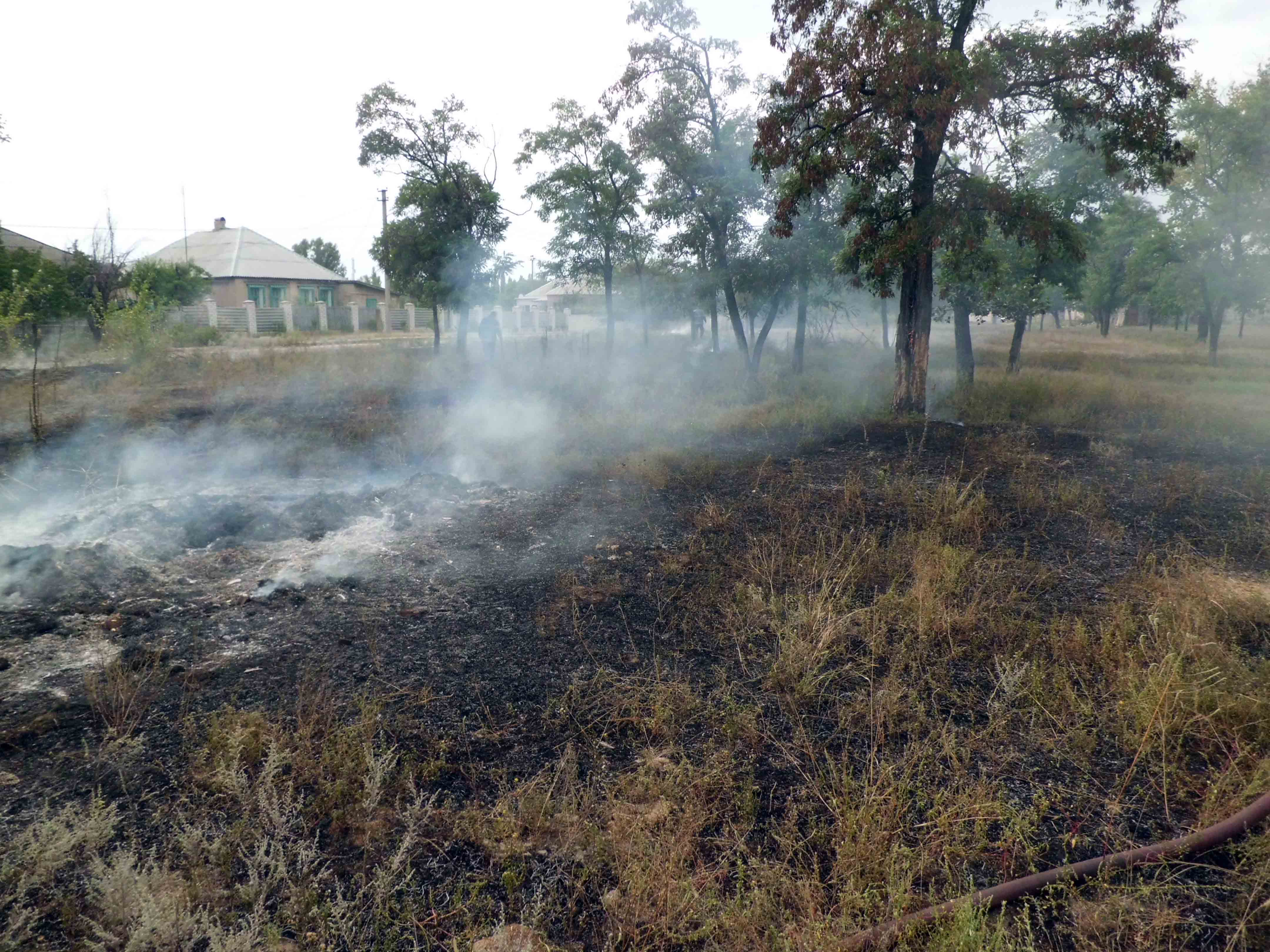 За минулу добу рятувальники Луганщини ліквідували 11 займань  загальною площею 11 га