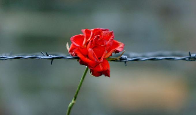 Звернення голови Луганської обласної державної адміністрації – керівника обласної військово-цивільної адміністрації Юрія Гарбуза з нагоди Міжнародного дня визволення в’язнів нацистських концтаборів