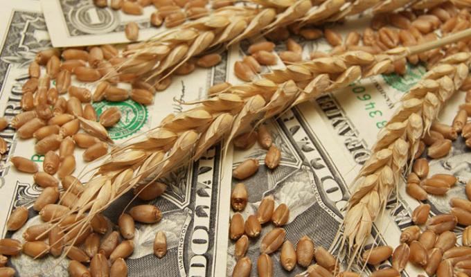 IFC запускає інструмент аграрних розписок для агровиробників з усієї України