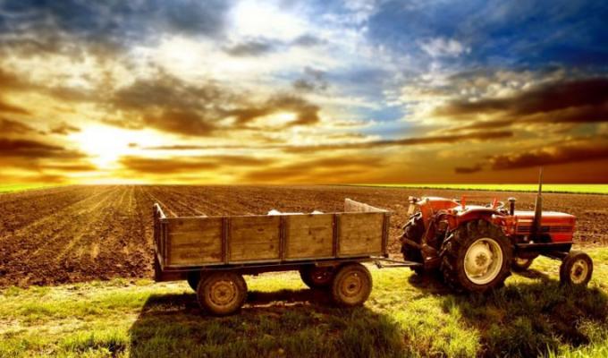 Гранти на збільшення доданої вартості у плодоовочевому та м’ясомолочному секторах