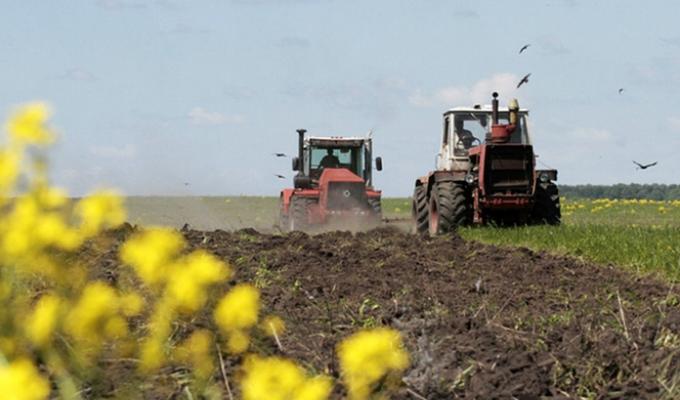 Аграрії отримають компенсації за втрату посівів через посуху