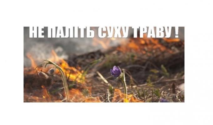 Пожежі в екосистемах: рятувальники нагадують про адміністративну відповідальність