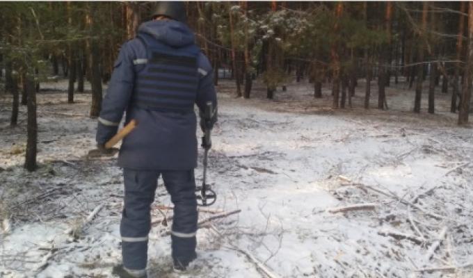 Піротехніками на Луганщині виявлено та вилучено 23 артилерійських снаряди 