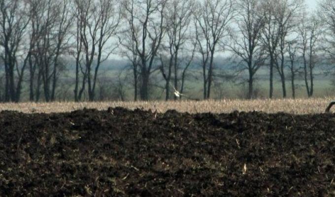 Обговорені шляхи вирішення проблем зрошення сільськогосподарських земель 