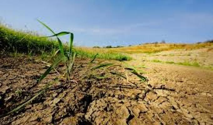 Сбережем наши почвы – залог процветания будущих поколений
