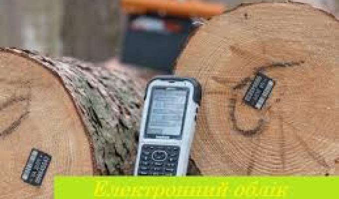 Е-облік деревини: боротьба з незаконним обігом деревини триває