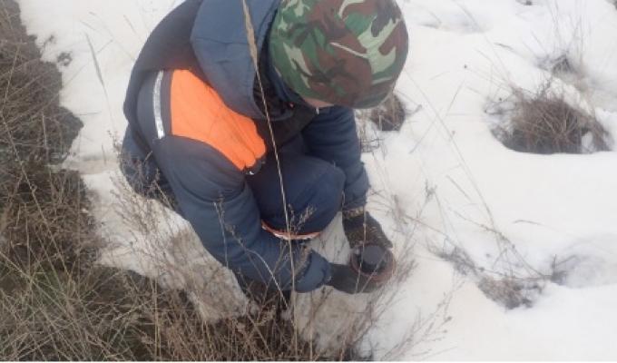 Піротехніками на Луганщині вилучено вісім одиниць вибухонебезпечних предметів 