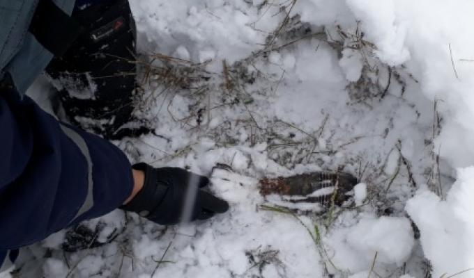 На Луганщині вилучено п’ять одиниць вибухонебезпечних предметів