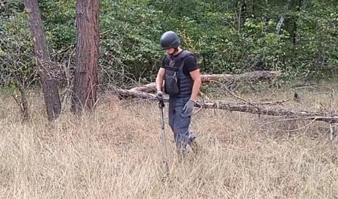 Піротехніками на Луганщині вилучено 29 одиниць вибухонебезпечних предметів