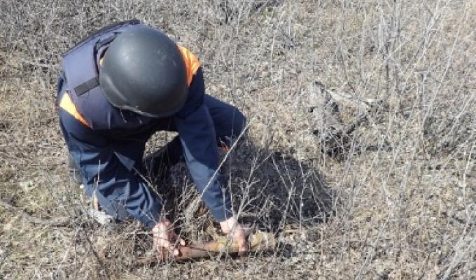 Піротехніками на Луганщині вилучено дві одиниці вибухонебезпечних предметів