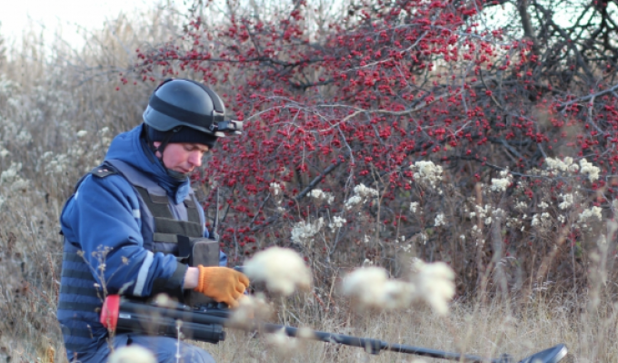 Піротехніками вилучено 10 одиниць вибухонебезпечних предметів