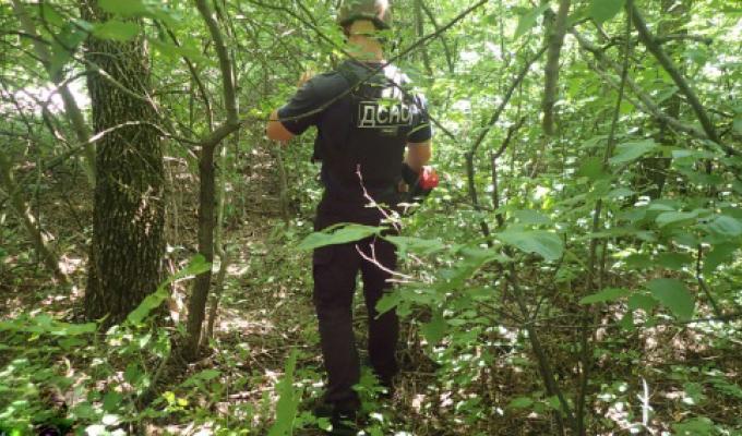 Піротехніками на Луганщині перевірено 2,1 га території області 