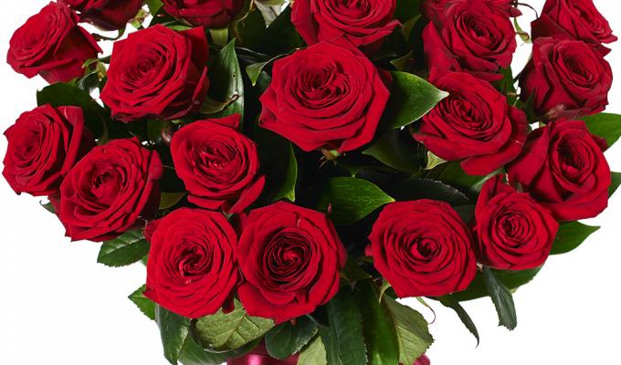 Україна святкує з Луганщиною: Миколаївська область 