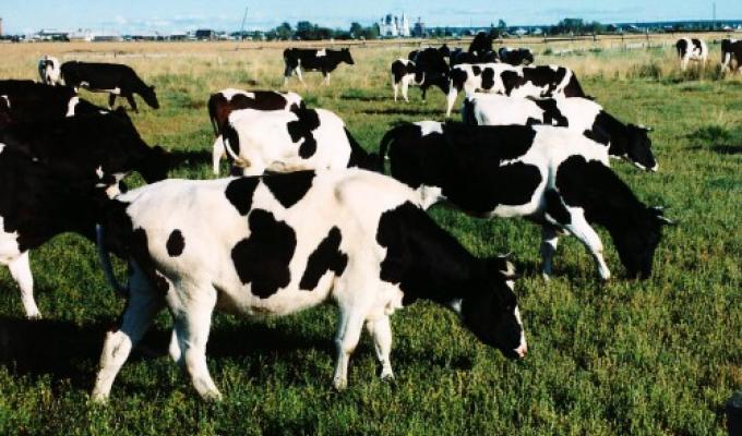 Головне управління Держпродспоживслужби в Луганській області попереджає