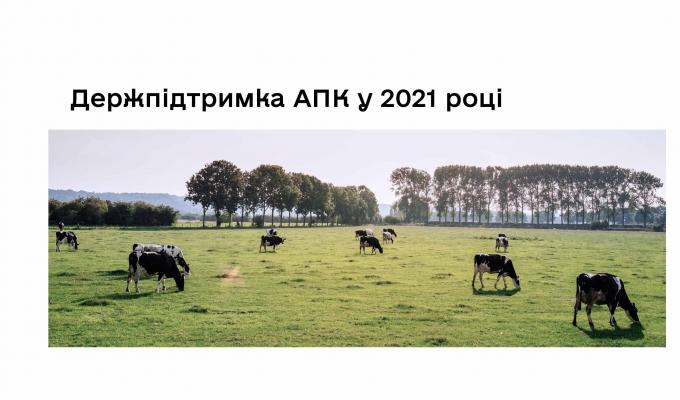 Підтримка сільського господарства у 2021 році