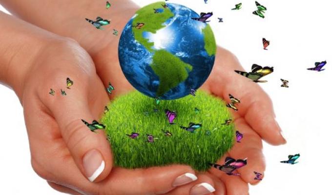 На відновлення навколишнього середовища цьогоріч сплачено 55 мільйонів екоподатку