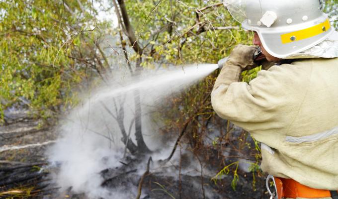 Ситуація контрольована, критична небезпека минула, – Сергій Гайдай щодо лісових пожеж на Луганщині