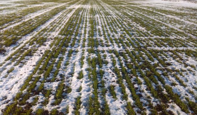 Майже 140 мільйонів гривень отримали аграрії Луганщини від держави минулоріч