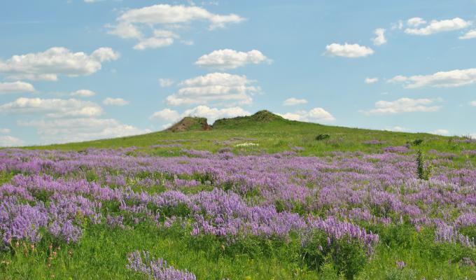 Культурна спадщина Луганщини - невід’ємна складова Європейської спадщини
