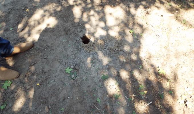 Серед білого дня окупанти обстріляли Станицю Луганську