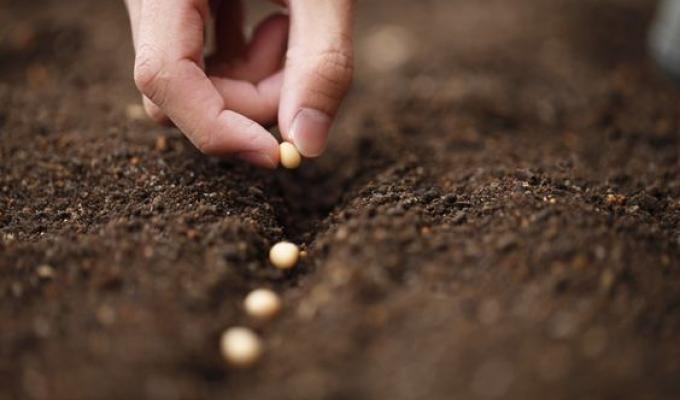 Міжнародні партнерські організації підтримують агропромисловців Луганщини