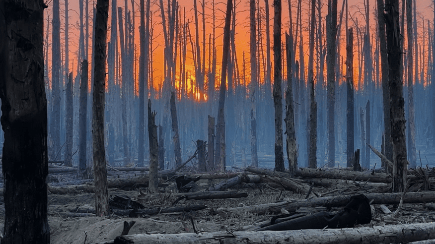 На Луганщині 11 пожеж у 2025 році вже завдали чотири мільярди збитків