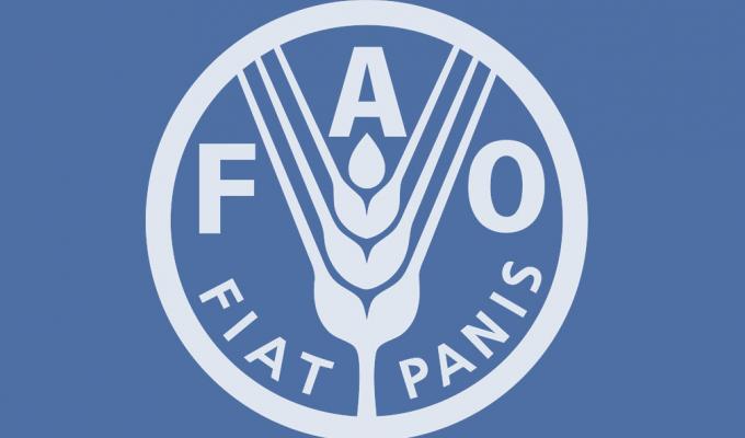 ВІДБУЛАСЬ ЗУСТРІЧ З ПРЕДСТАВНИКОМ ПРОДОВОЛЬЧОЇ ТА СІЛЬСЬКОГОСПОДАРСЬКОЇ ПРОГРАМИ ООН (FAO)